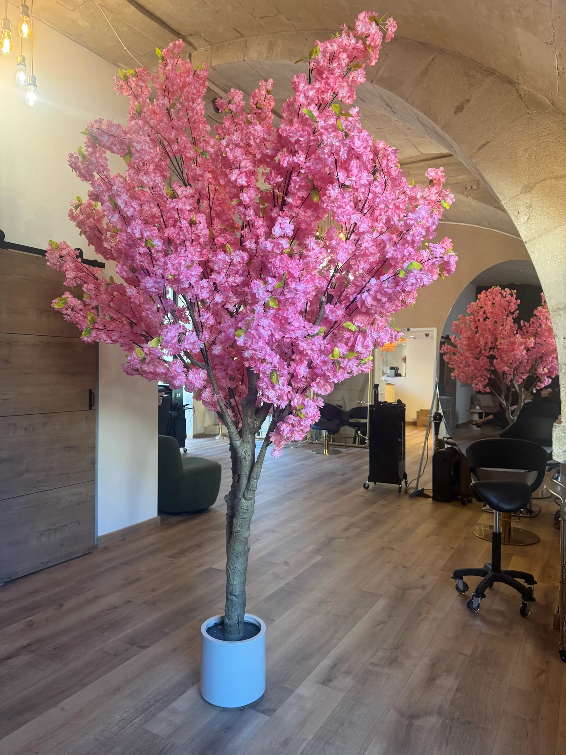 Le cerisier en fleurs